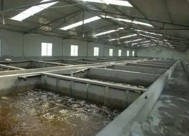水處理消泡劑