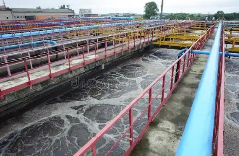 （飼養廠污水消泡劑應用場景）